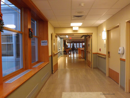 A well-lit hallway featuring large windows and wooden accents.