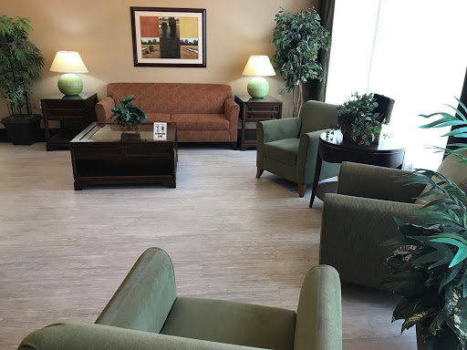 A cozy and inviting living room setup with comfortable seating and decorative plants.