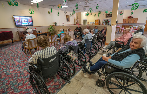 A group of senior citizens in wheelchairs enjoying a viewing activity in a communal space.