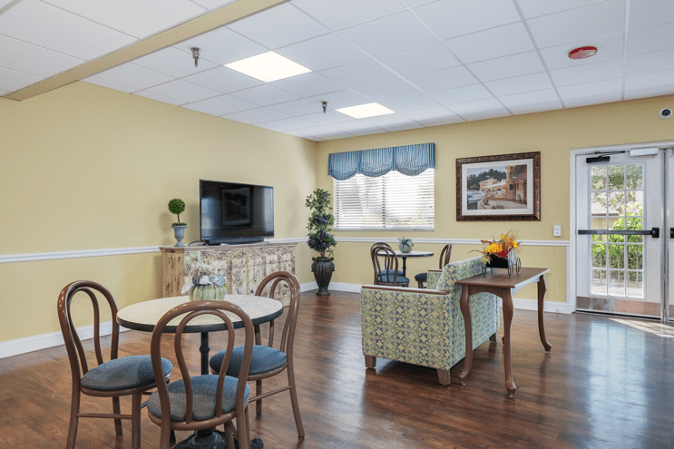 A cozy living room with a television and seating area, featuring stylish decor and indoor plants.