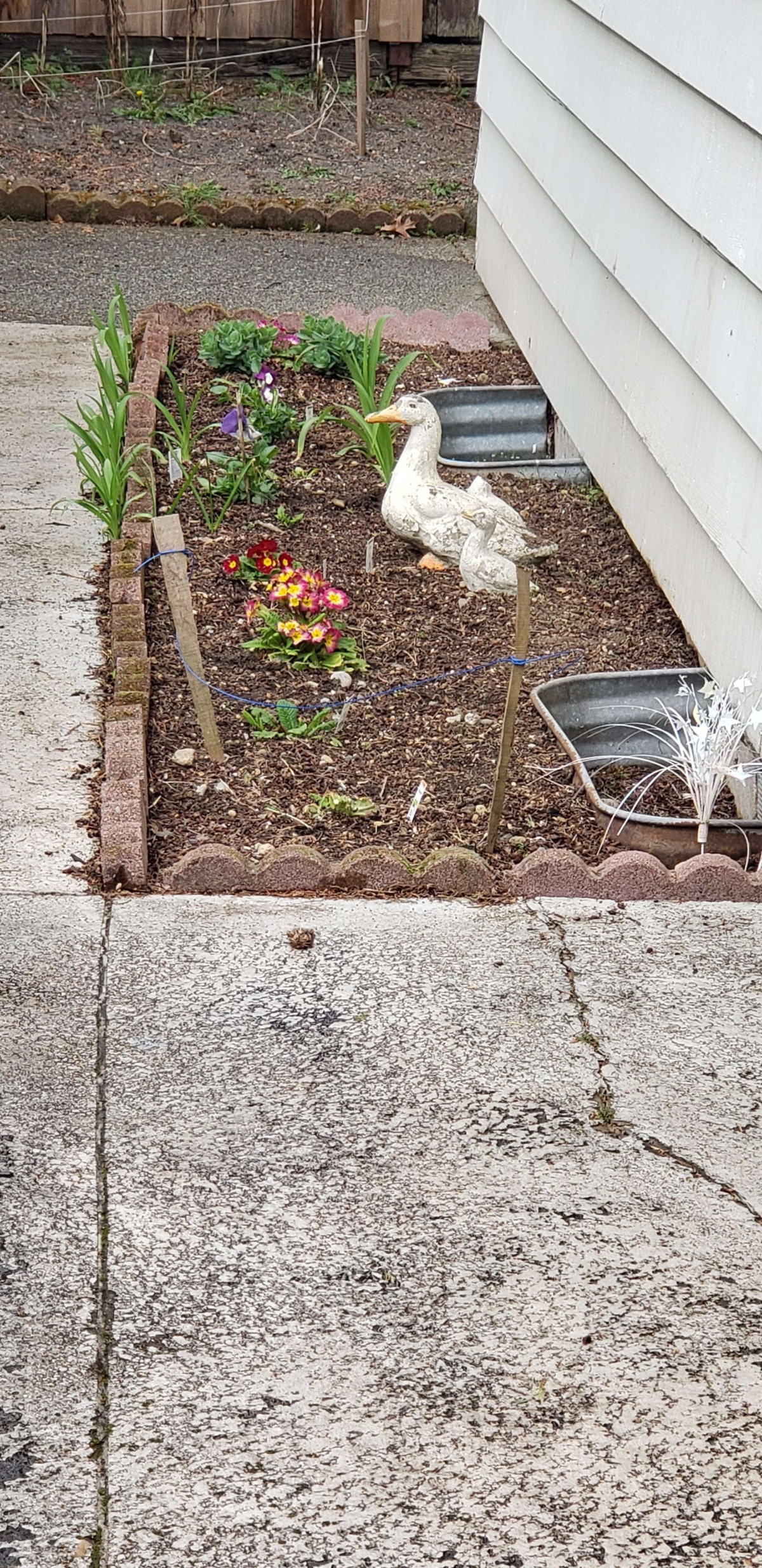 A small garden bed with a white bird statue, colorful flowers, and adjacent to a sidewalk.