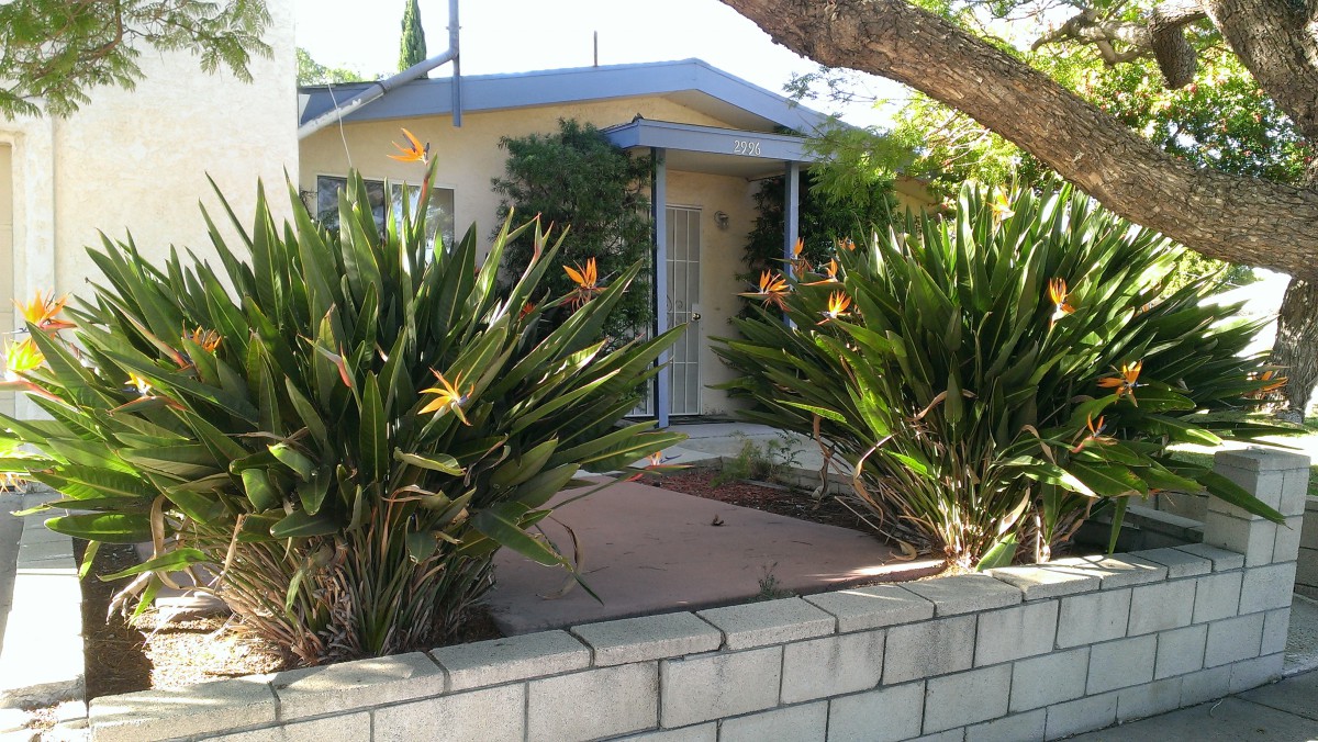 Mission Home