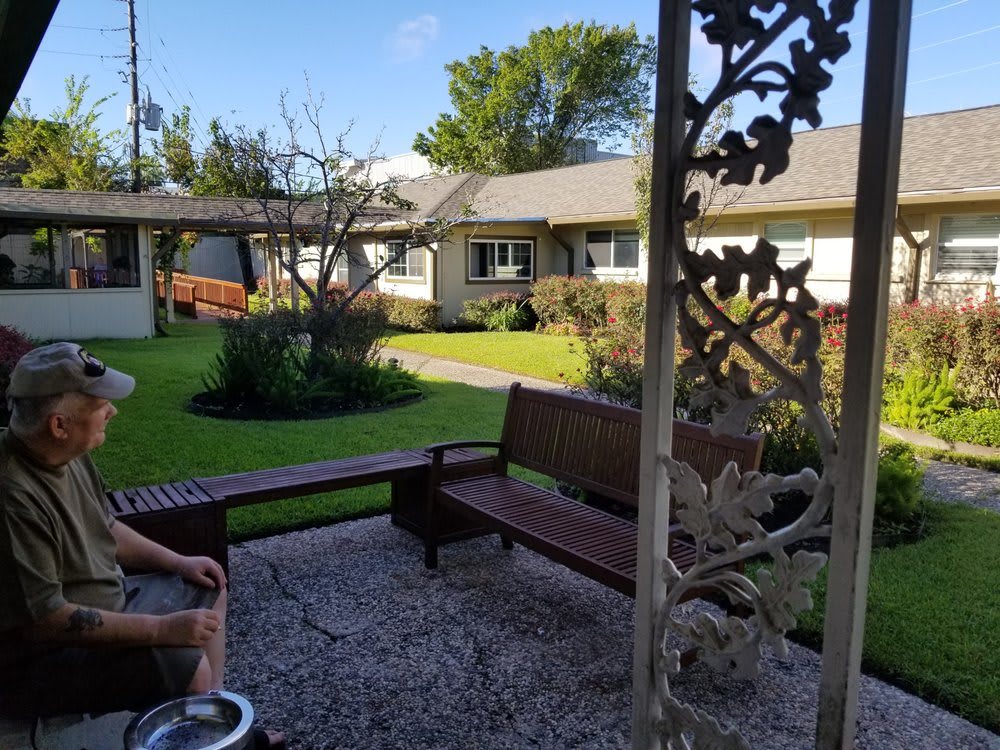 A tranquil outdoor space with a bench, surrounded by a well-kept lawn and trees, adjacent to a house.