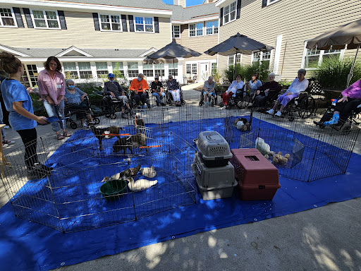 A lively outdoor gathering featuring a petting zoo, where participants enjoy interacting with various animals.