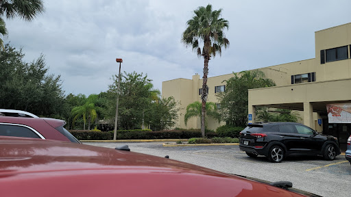 A view of a parking lot featuring palm trees and a cloudy sky.