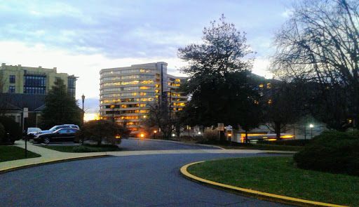 Lisner Louise Dickson Hurt Home