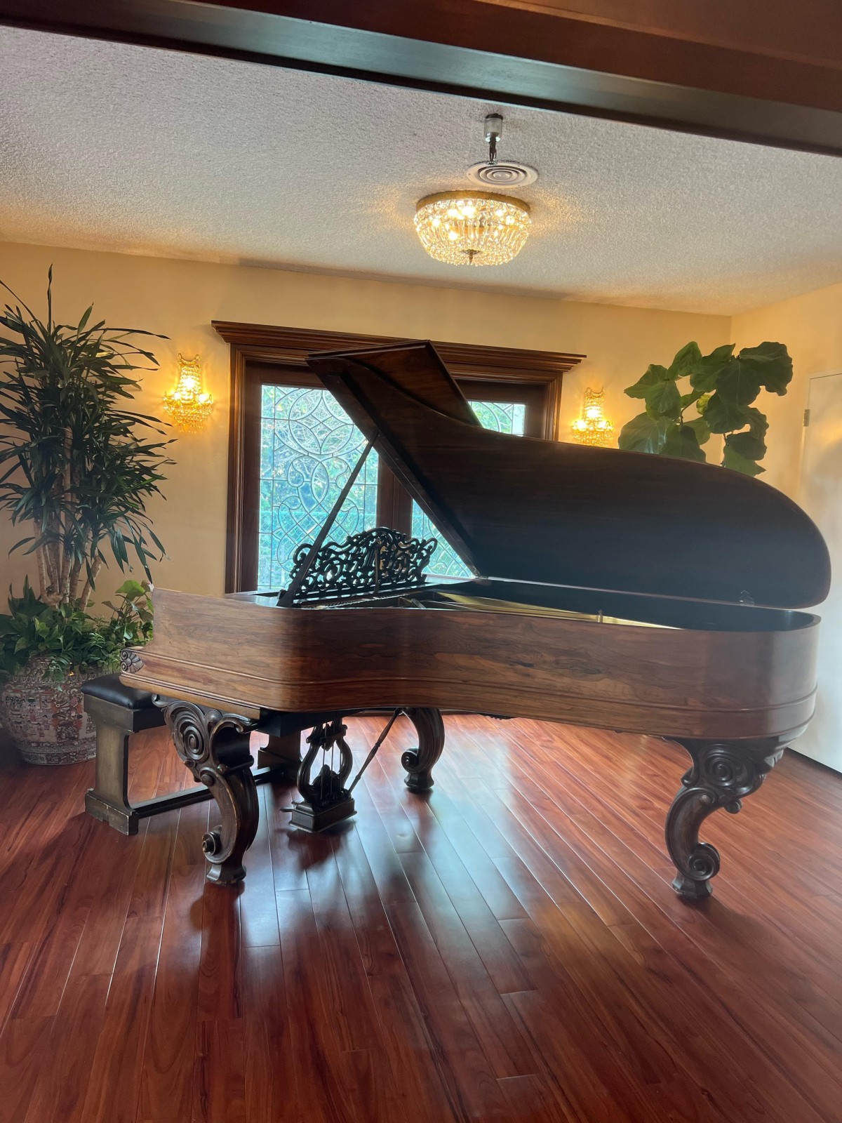 Elegant grand piano in a sunlit living room with wooden floors and house plants.