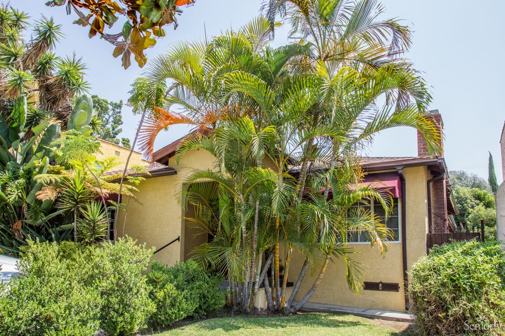 A charming house surrounded by lush palm trees and a well-kept front yard.