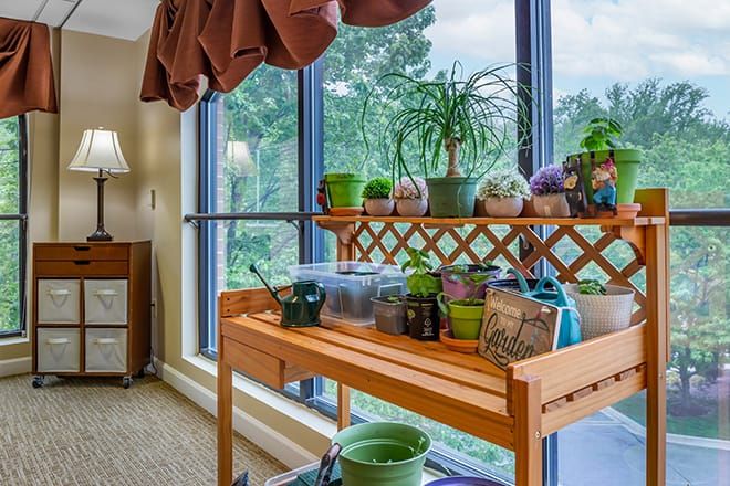 A cozy indoor gardening space with a variety of plants placed on a wooden stand by the window.