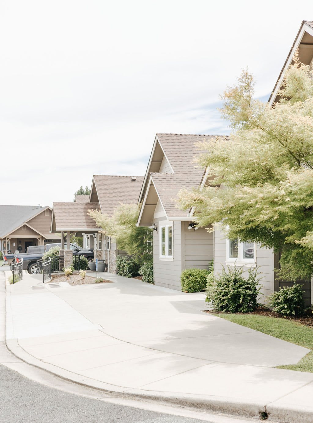 A row of suburban houses with driveways and trees lining the street.