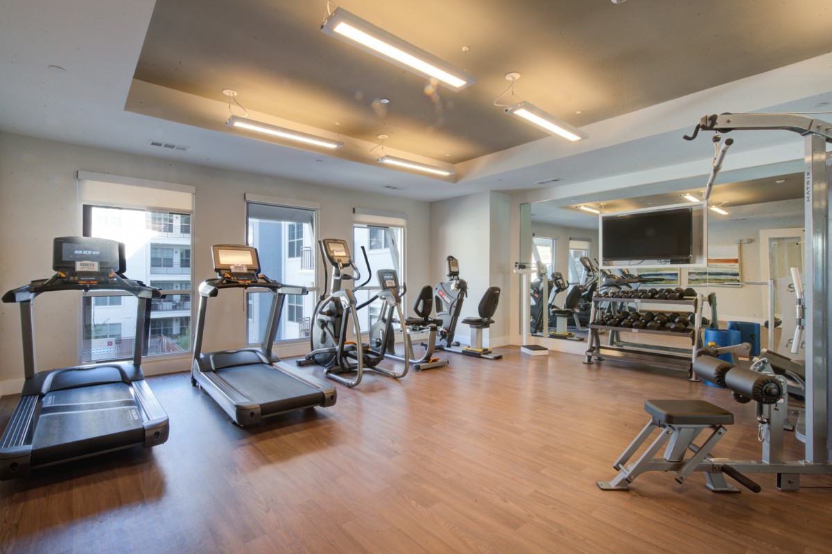 A modern gym equipped with treadmills and other cardio machines.