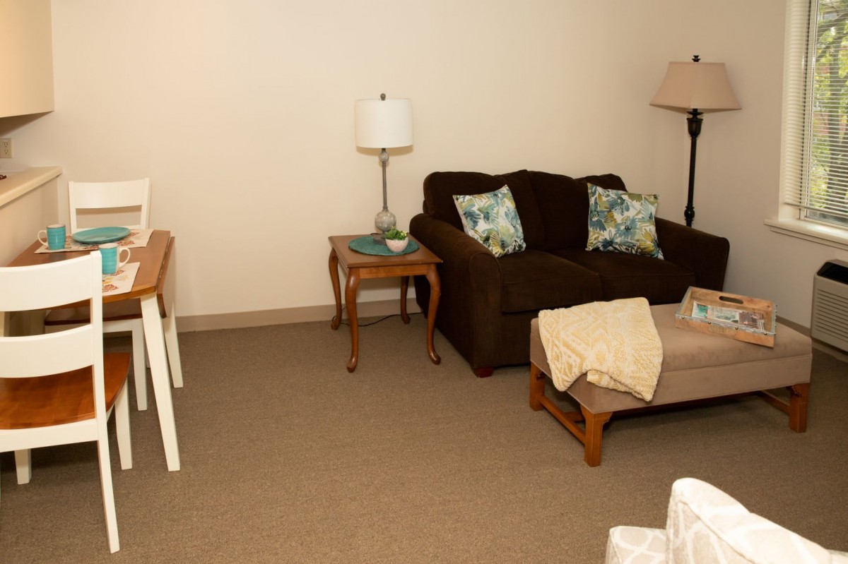 A cozy living room with a dark sofa, decorative pillows, side tables, and lamps.