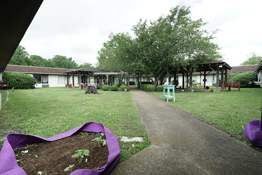 A serene outdoor community space featuring a pathway leading through a garden area with greenery and buildings in the background.