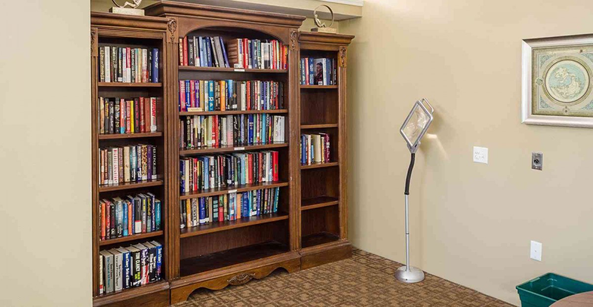 A cozy library corner featuring a wooden bookshelf filled with books and a unique floor lamp.
