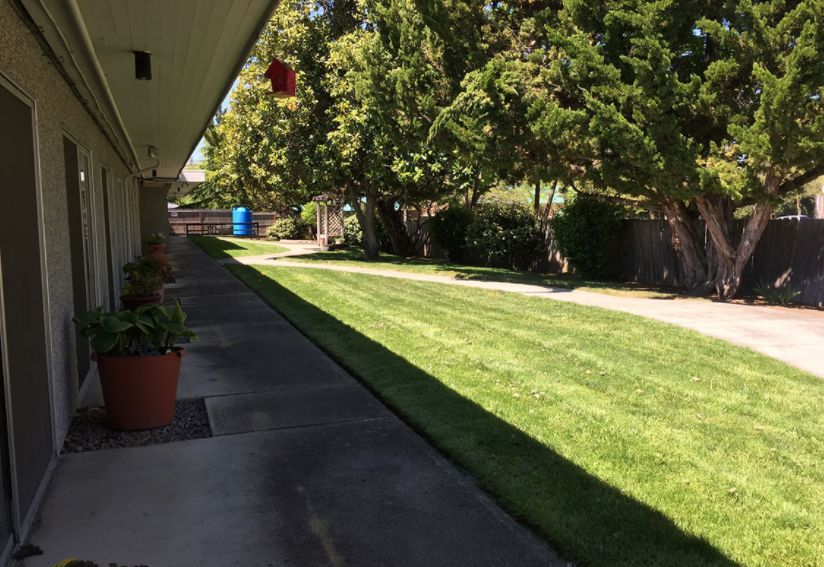 A sunny outdoor walkway lined with trees and neatly trimmed grass.