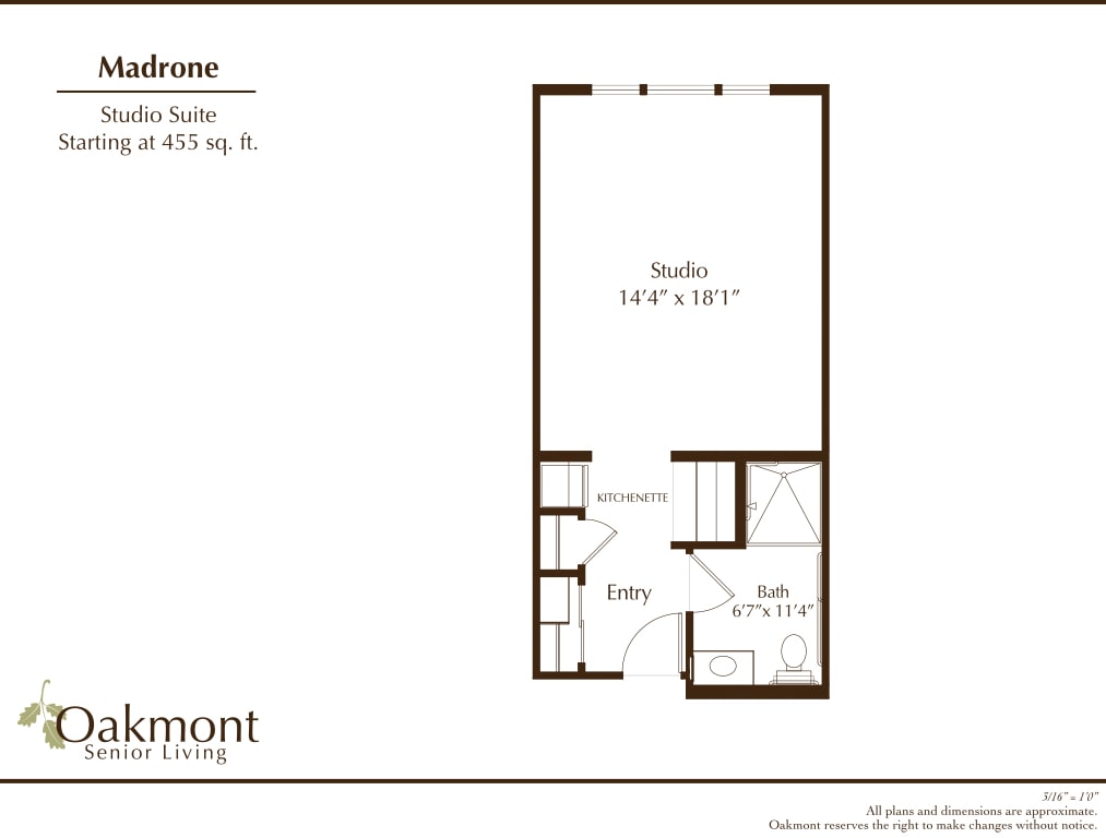 A simple studio apartment floor plan with defined living and bath areas.