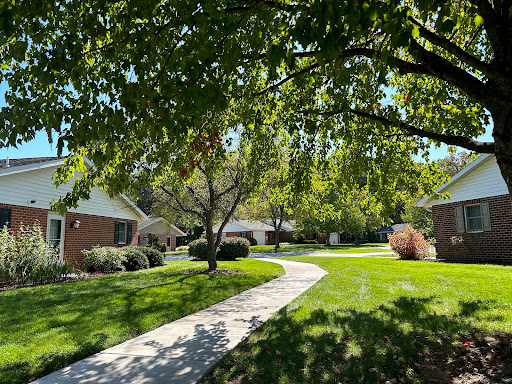A serene residential pathway lined with trees and lush green grass on a sunny day.
