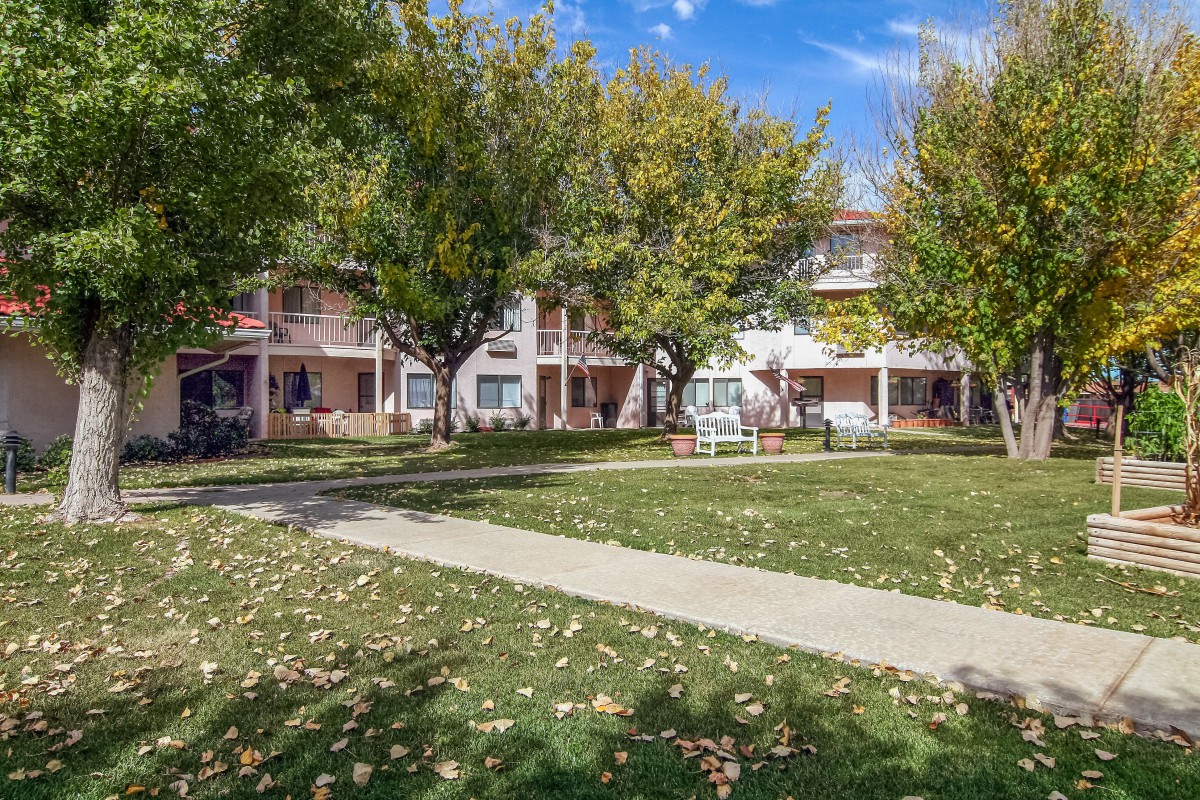 A peaceful residential area with a grassy lawn, surrounded by trees in autumn.