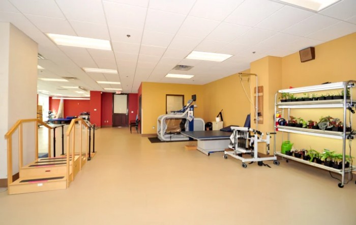 A well-equipped gym with exercise machines and a treadmill.