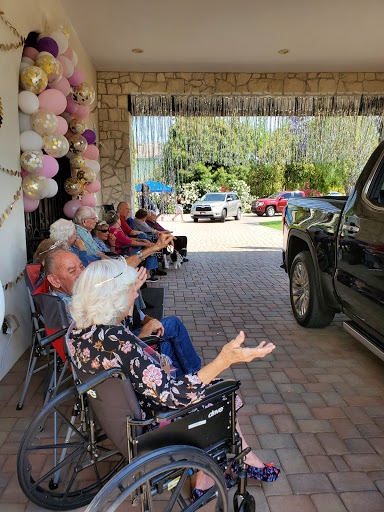 A serene gathering of seniors enjoying the outdoors, adorned with festive balloons.