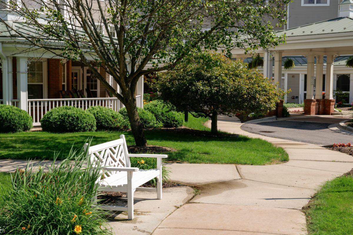 A serene garden scene with a white bench and lush greenery.