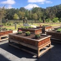 A series of raised wooden garden beds in an outdoor area, ready for planting.