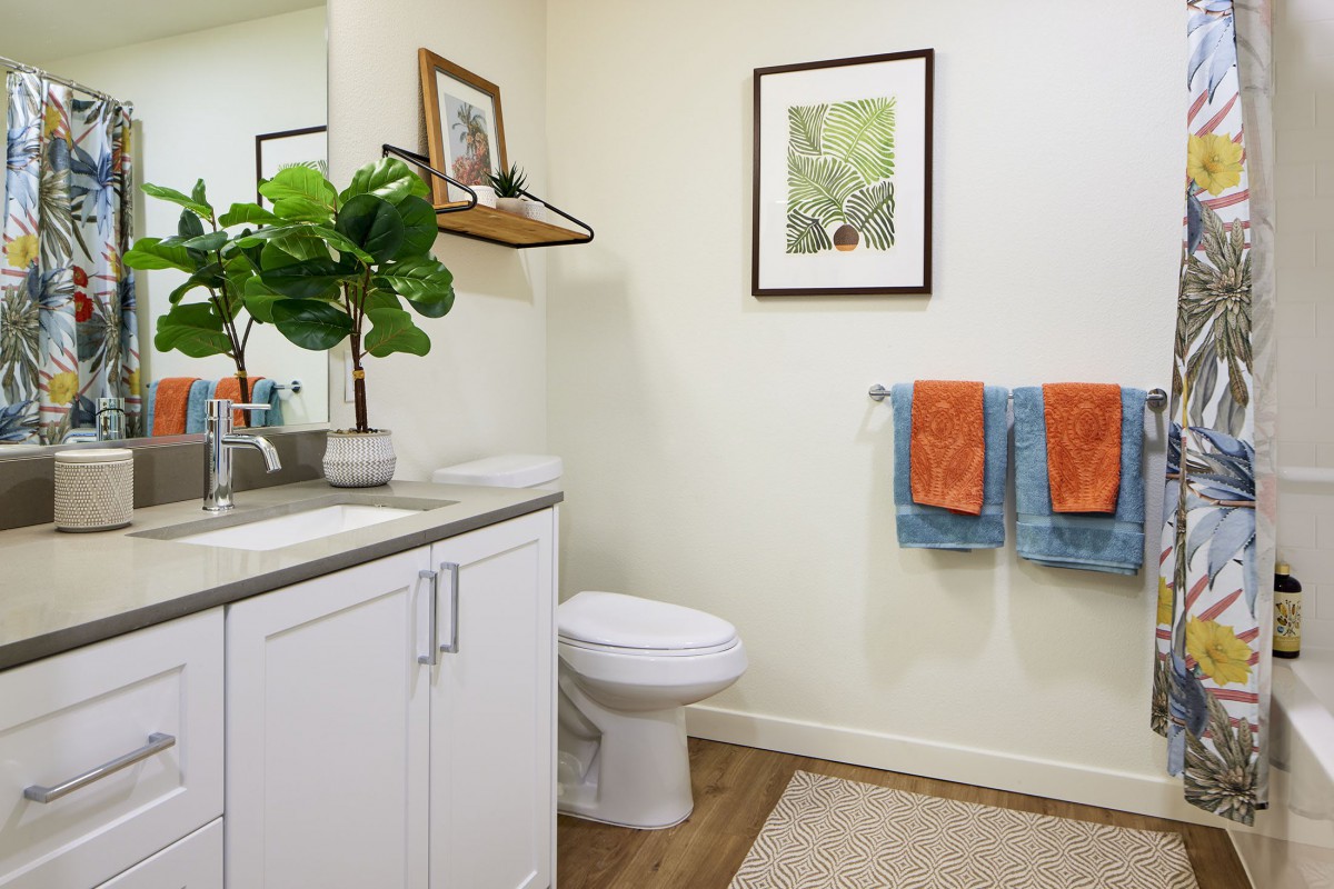 A modern bathroom with a white toilet, sink, decorative plant, and colorful towels.