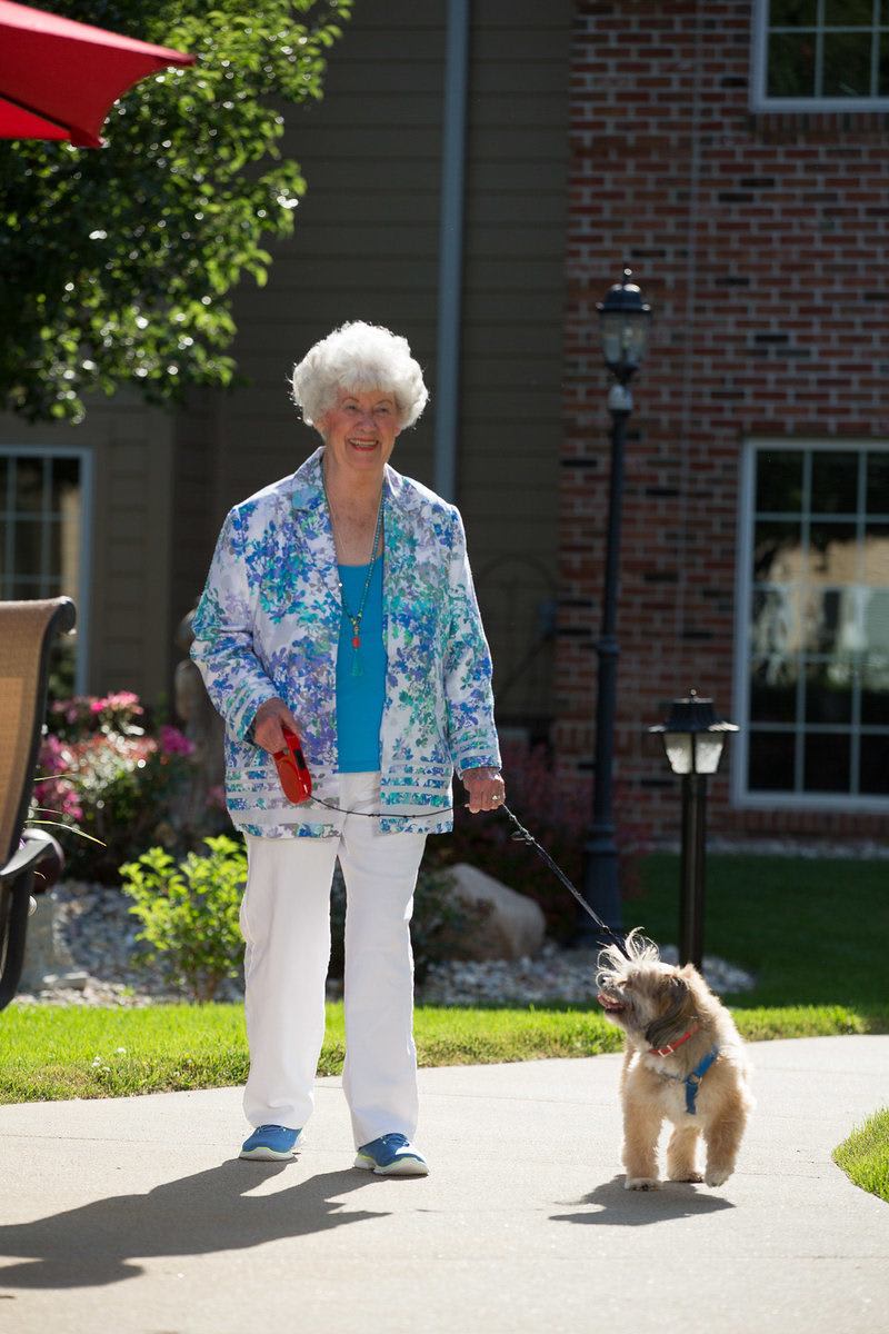 An elderly woman walking her dog on a sunny day in a residential area.
