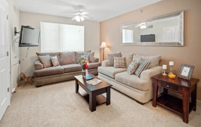 A cozy living room with two sofas, a coffee table, and decorative elements.