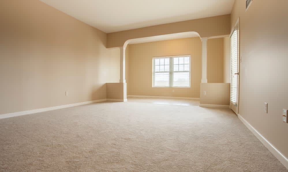 An empty room with beige walls and a carpeted floor, featuring a window that lets in natural light.