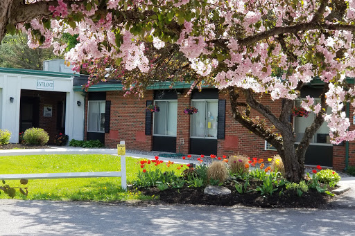 A picturesque view of a house surrounded by blooming flowers and greenery in spring.