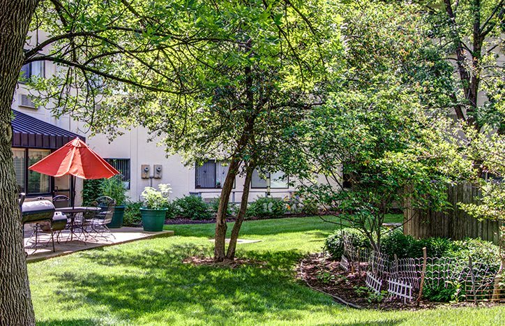 A peaceful backyard garden with lush green lawn, trees providing shade, and a patio area with outdoor seating.