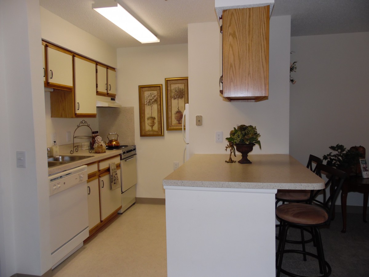 A cozy kitchen with a countertop and various appliances.