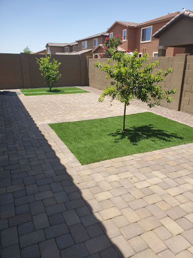 A well-maintained backyard featuring a paver patio and two small trees surrounded by green grass.