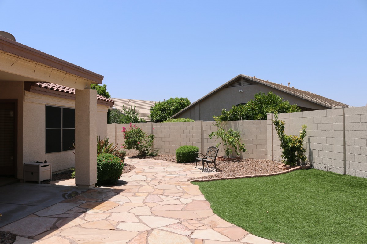 A sunny backyard with a stone patio, small lawn, and various plants lining the walls.