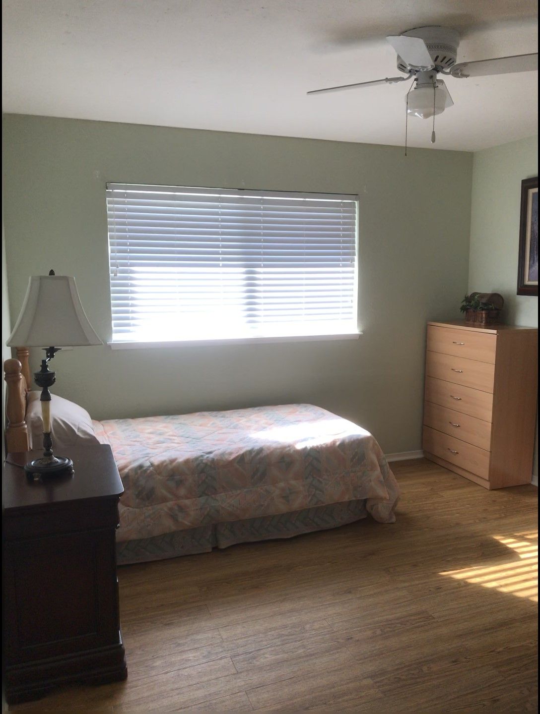 A minimalist bedroom with a single bed and natural light.