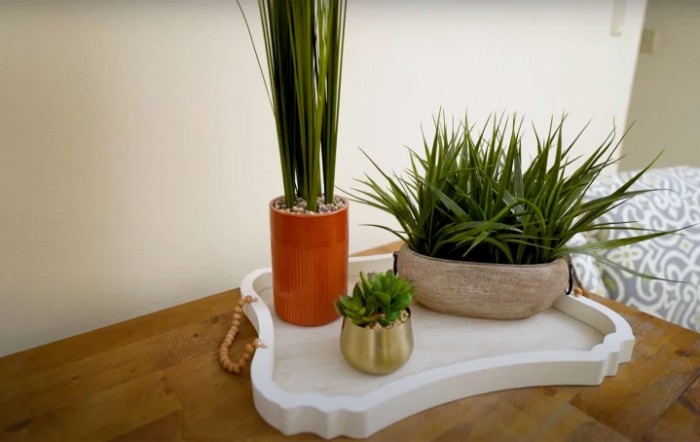 A collection of potted indoor plants displayed on a decorative tray.