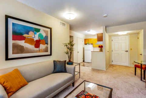 A modern apartment living room with stylish decor and an open-concept kitchen.