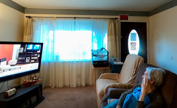 A cozy living room with a sofa and television next to a large window with curtains, featuring a bird cage and an adjacent door.