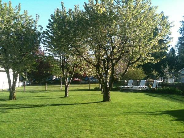 A peaceful garden with green grass and trees under a clear blue sky.
