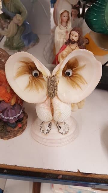 A creative decorative piece made from seashells, resembling a butterfly.