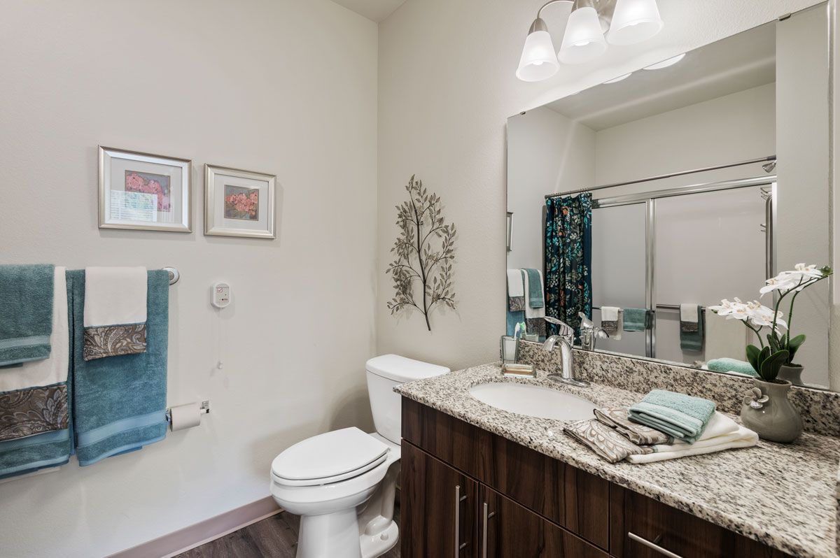 A modern bathroom with a granite countertop, mirror, and decorative elements.