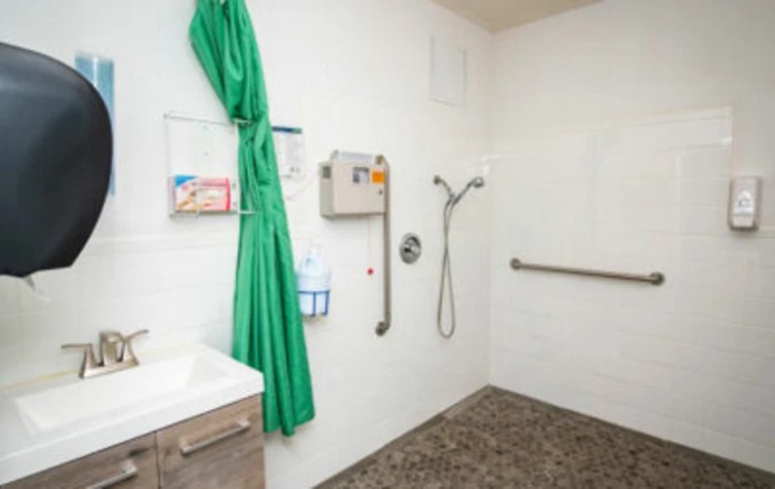 An accessible bathroom with a shower area featuring a grab bar, showerhead, and green privacy curtain.