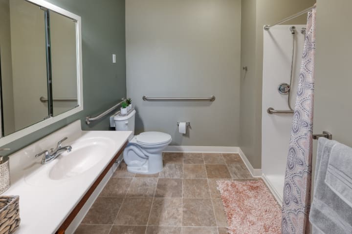 An accessible bathroom with grab bars, a toilet, a sink, a mirror, and a walk-in shower.