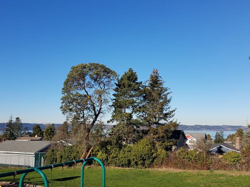A serene view of trees against a clear blue sky, with a playground in the foreground.