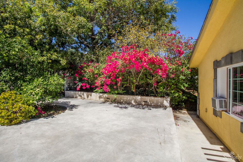 A sunny garden with vibrant flowers and lush trees surrounding a concrete patio.