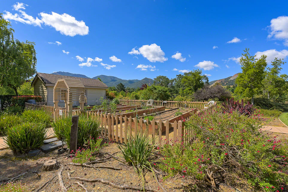 A sunny garden with a wooden fence set against a backdrop of mountains and blue sky.