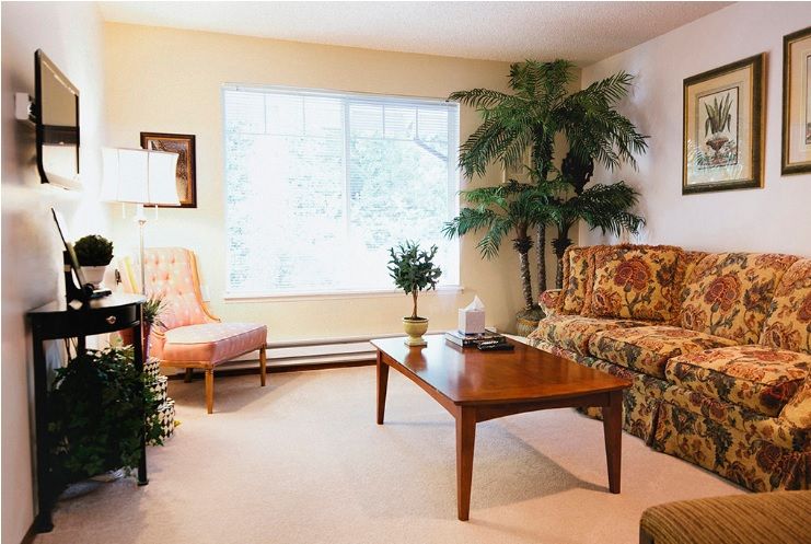 A cozy living room with a sofa, coffee table, chair, and several plants.