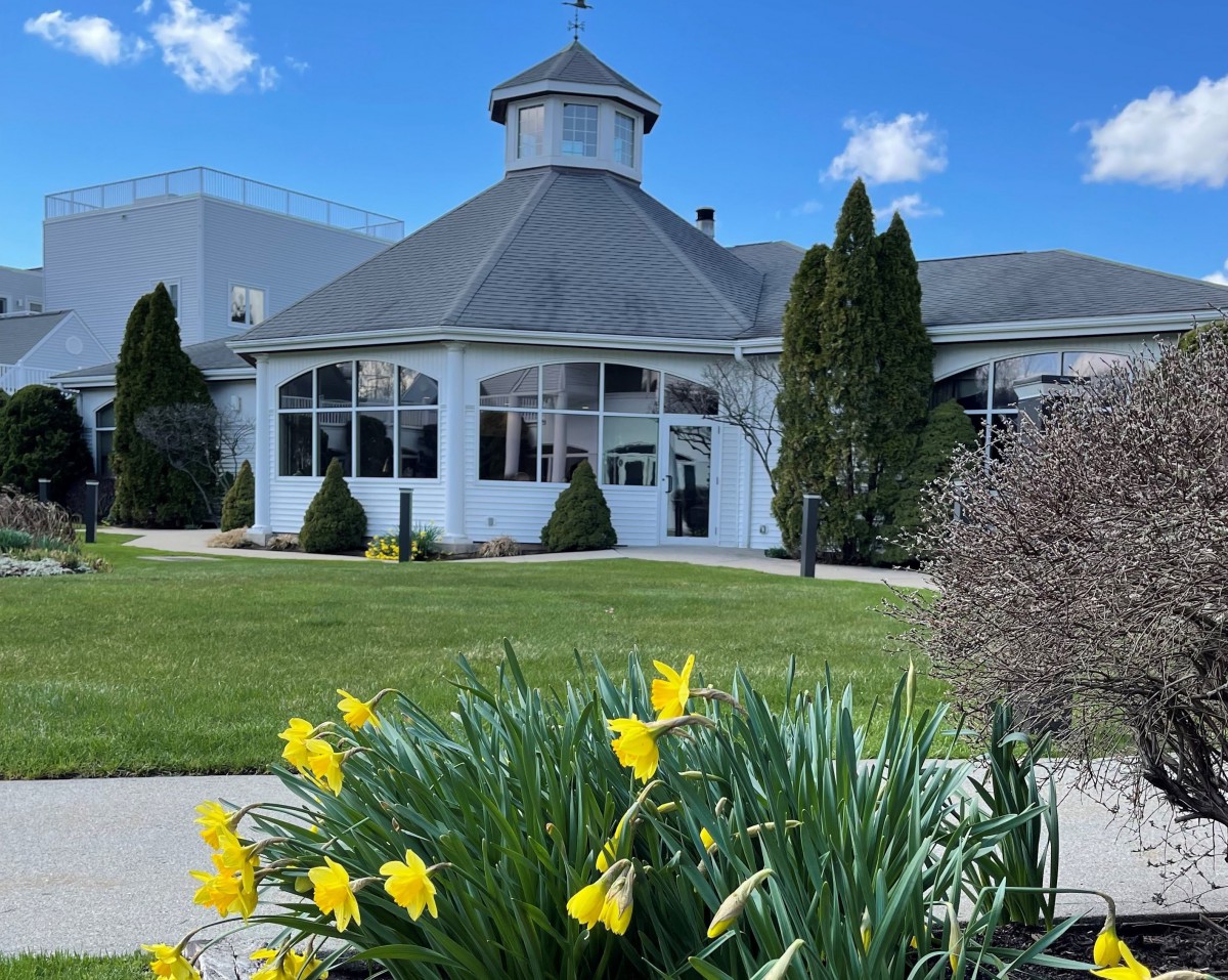 A building with a gazebo-like structure surrounded by daffodils under a blue sky.