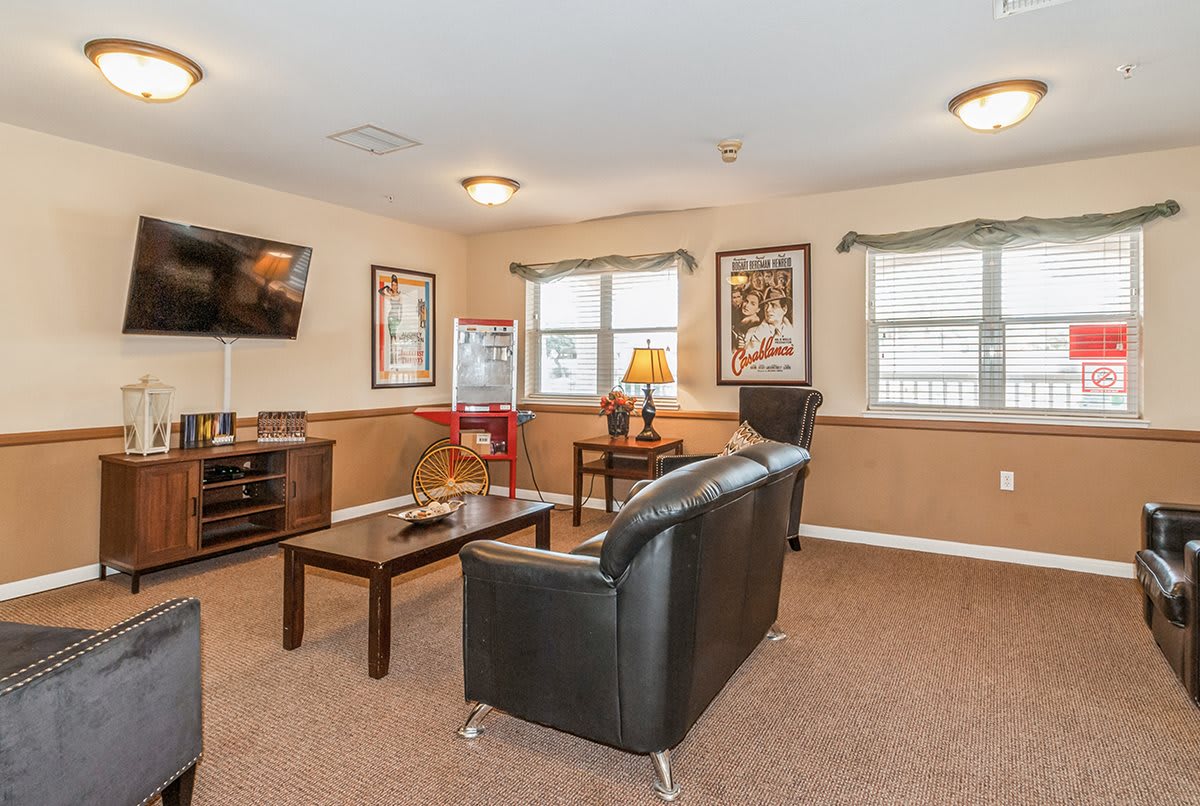 A cozy living room with a television, sofa, and movie posters on the walls.